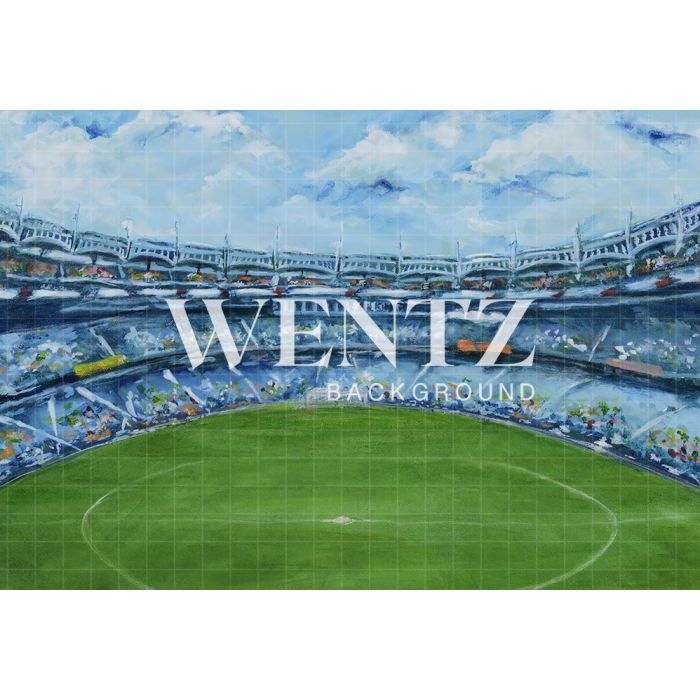 Photography Background in Fabric Hand Painted Soccer Field / Backdrop CW003