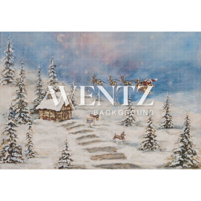 Photography Background in Fabric Christmas House Hand Painted / Backdrop CW13