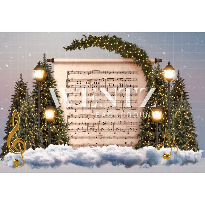 Photography Background in Fabric Christmas Song / Backdrop 2307