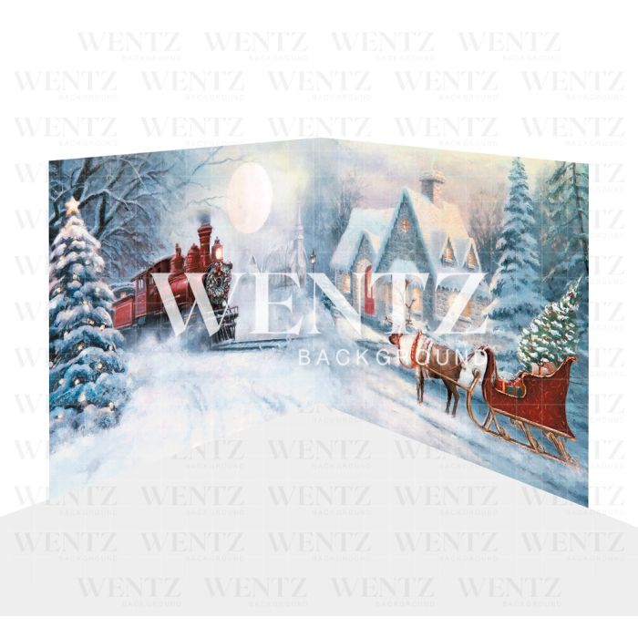 Photography Background in Fabric Christmas Set 2D / WTZ126