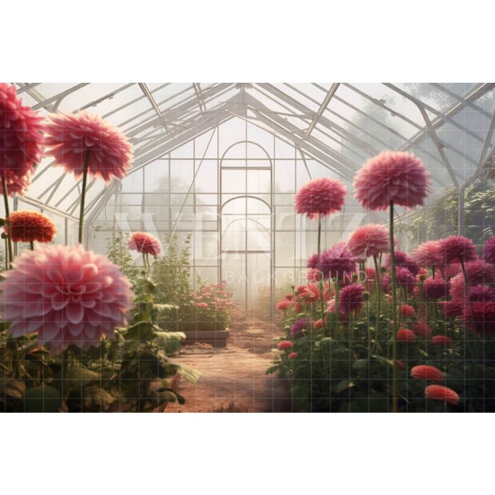 Photography Background in Fabric Pink Dahlias Greenhouse / Backdrop 3635