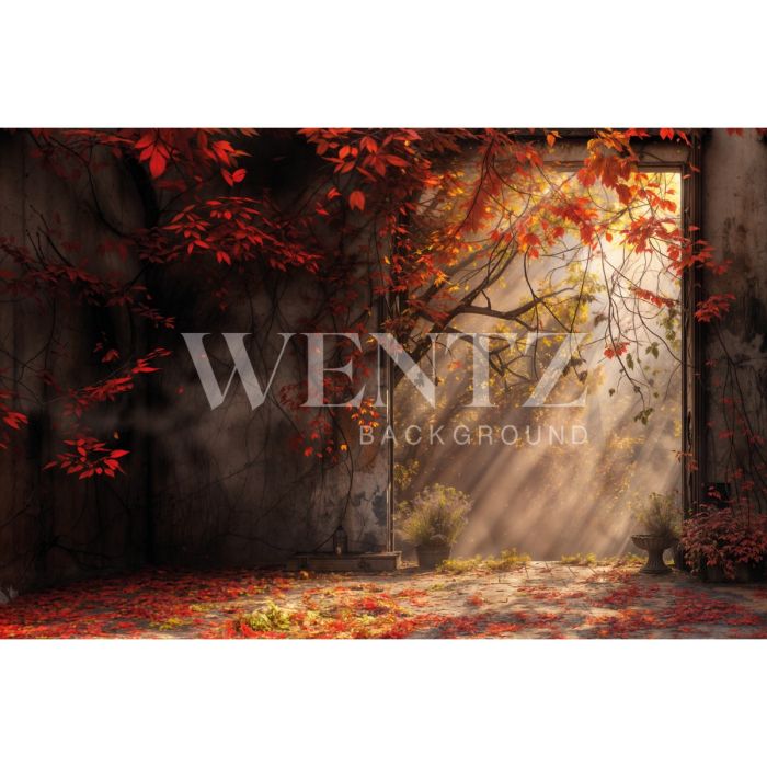 Photography Background in Fabric Fall 2024 / Backdrop 5925