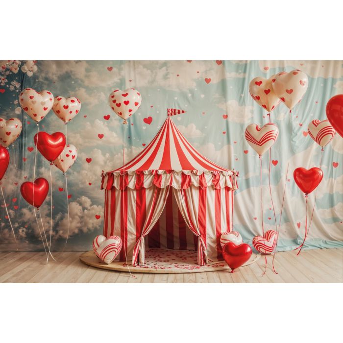 Photography Background in Fabric Valentine's Day 2024 / Backdrop 6045