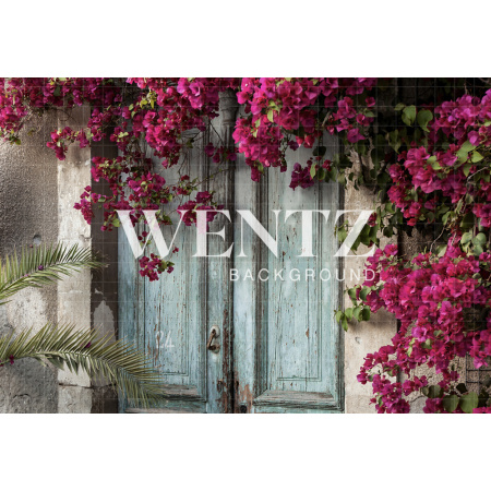 Fabric Photography Background Florida Door / Backdrop 1259
