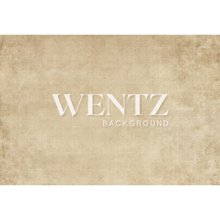 Fabric Photography Background Texture / Backdrop 1283