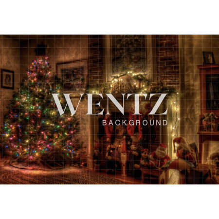 Fabric Photography Background Christmas Room / Backdrop 1290