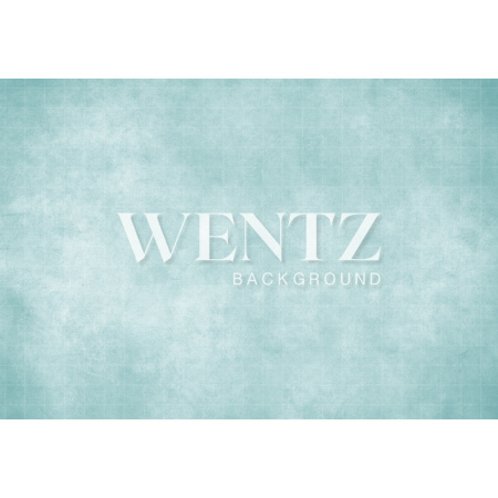 Fabric Photography Background Texture Light Green / Backdrop 1503