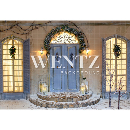 Fabric Photography Background Christmas Door  / Backdrop 1593