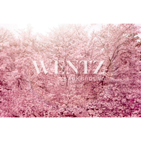 Fabric Photography Background Cherry Tree / Backdrop 1756