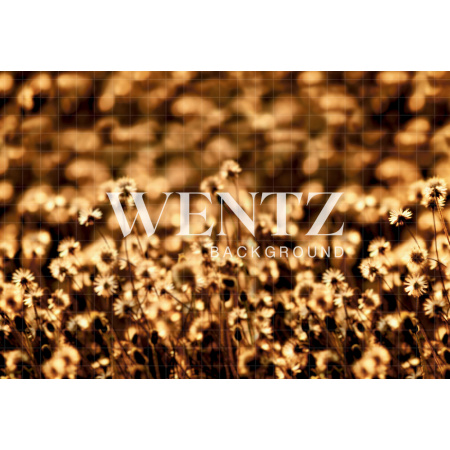 Fabric Photography Background Flowers at Sunset / Backdrop 1757