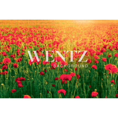 Fabric Photography Background Poppy Field / Backdrop 1758