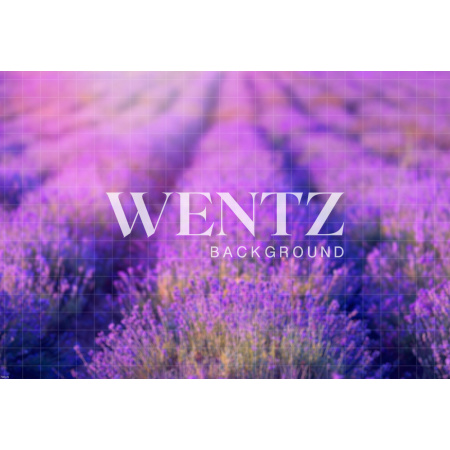 Fabric Photography Background Lavender Field/ Backdrop 1760