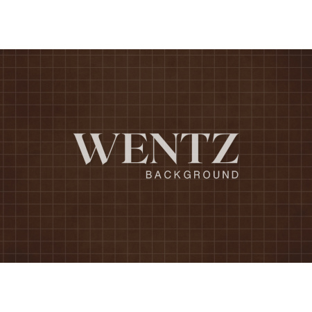 Fabric Photography Background Fine Art Brown Texture / Backdrop  1822