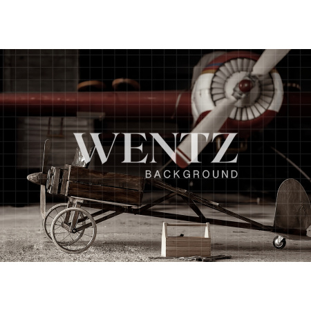 Fabric Photography Background Airplane / Backdrop 1848