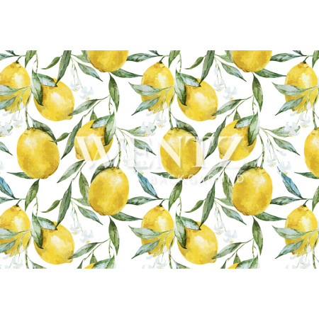 Fabric Photography Background Summer Lemon / Backdrop 1997