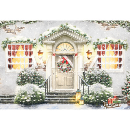 Fabric Photography Background Christmas Facade and Door / Backdrop 2113