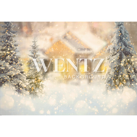 Fabric Photography Background Christmas / Backdrop 2115