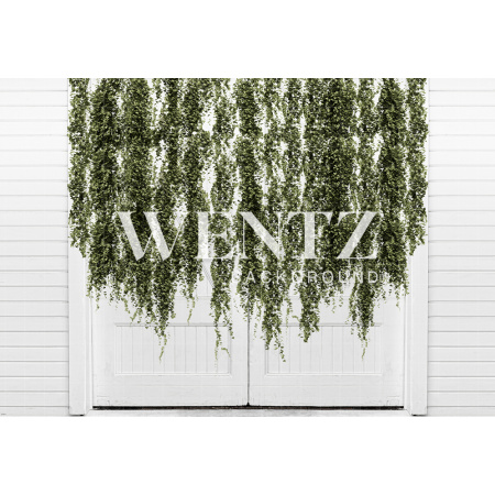 Fabric Photography Background Door with Foliage / Backdrop 2145
