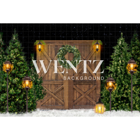 Fabric Photography Background Evening Snowy Holiday Park / Backdrop 2191