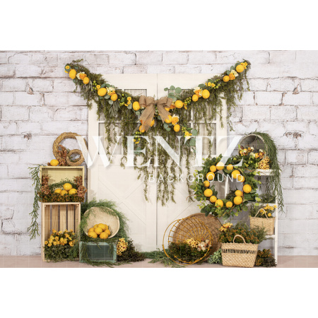 Fabric Photography Background Sicilian Lemon / Backdrop 2225