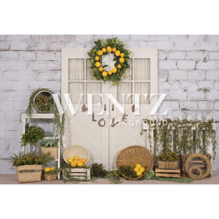 Fabric Photography Background Sicilian Lemon and Door / Backdrop 2227