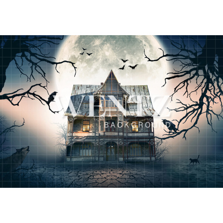 Fabric Photography Background Halloween Haunted House / Backdrop 2355