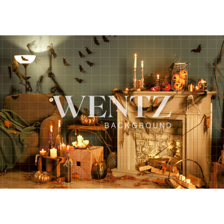 Fabric Photography Background Halloween Room / Backdrop 2358