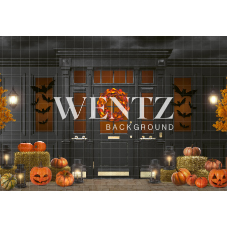Photographic Background in Fabric Halloween Door / Backdrop 2363