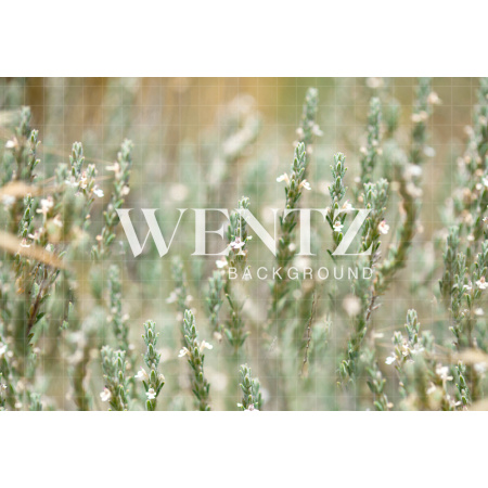 Fabric Photography Background Floral / Backdrop 2403