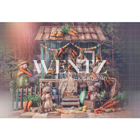 Fabric Photography Background Easter House / Backdrop 2414