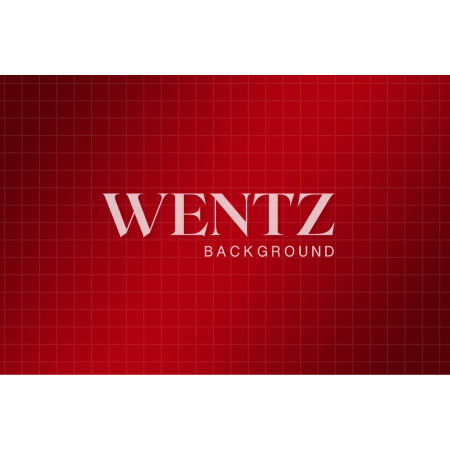 Fabric Photography Background Red  / Backdrop 2484