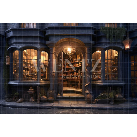 Fabric Photography Background Potion Shop / Backdrop 3461