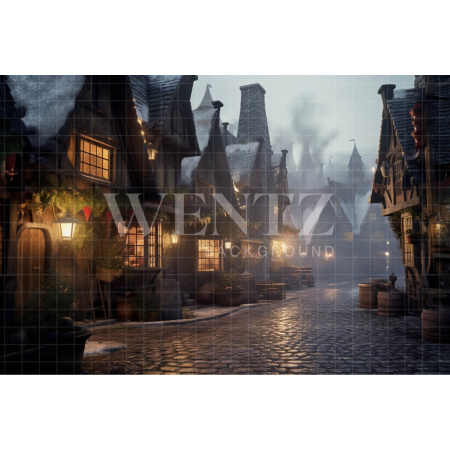 Fabric Photography Background Wizards Village / Backdrop 3479