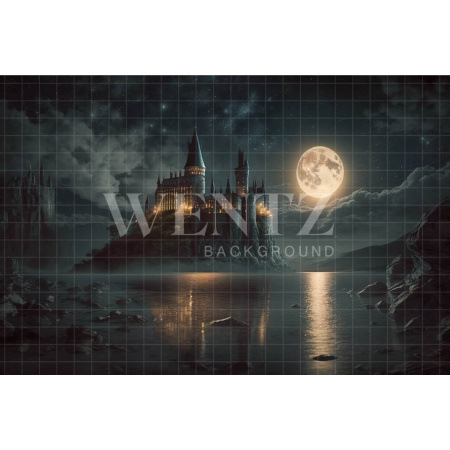 Fabric Photography Background Wizardry School / Backdrop 3491