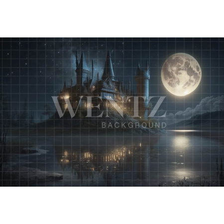 Fabric Photography Background Wizardry School / Backdrop 3493