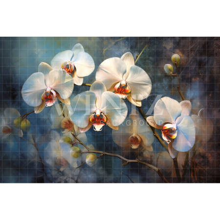 Fabric Photography Background White Orchids / Backdrop 3563
