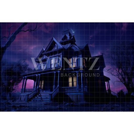 Fabric Photography Background Haunted Mansion / Backdrop 3688