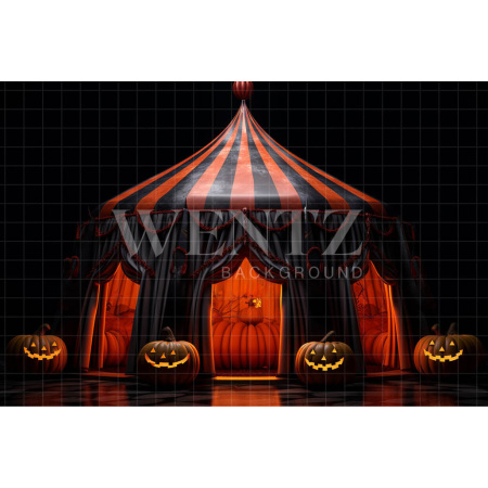 Fabric Photography Background Halloween Circus / Backdrop 3689