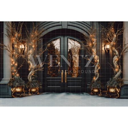 Fabric Photography Background Christmas Door / Backdrop 3843