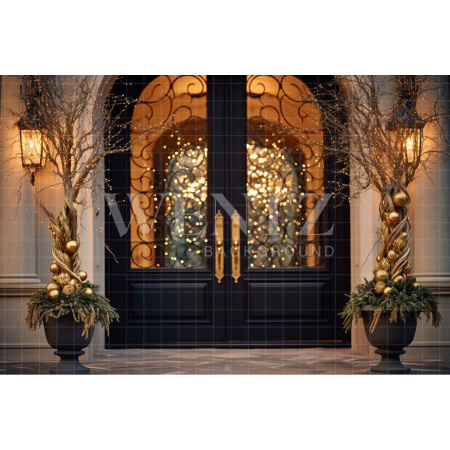 Fabric Photography Background Luxury Door / Backdrop 3848