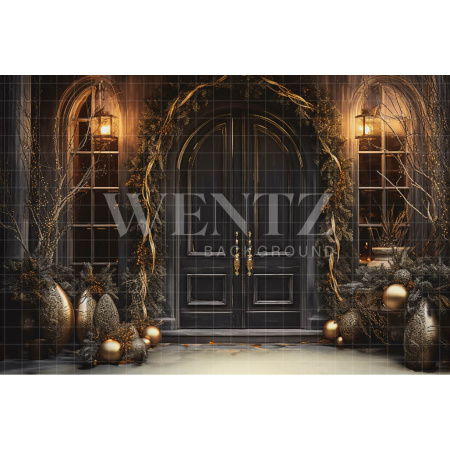 Fabric Photography Background Luxury Door / Backdrop 3849