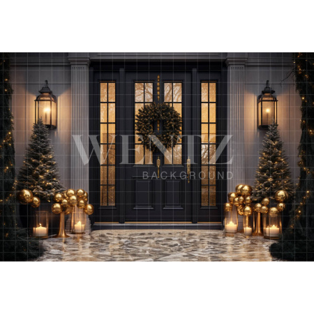 Fabric Photography Background Luxury Door / Backdrop 3851