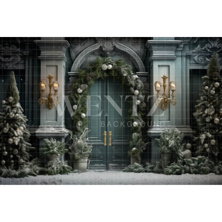 Fabric Photography Background Christmas Door / Backdrop 4083