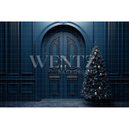 Fabric Photography Background Blue Door / Backdrop 4119