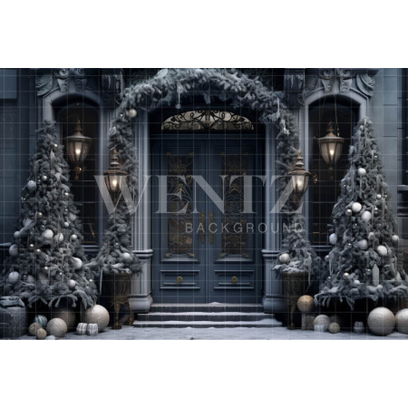 Fabric Photography Background Blue Door / Backdrop 4121