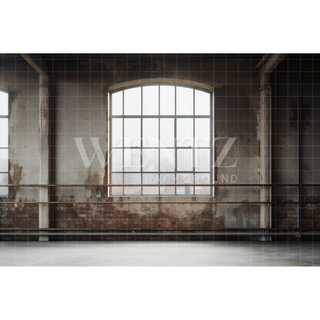 Fabric Photography Background Ballet Studio / Backdrop 4364