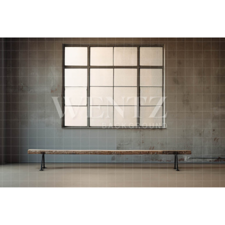 Fabric Photography Background Ballet Studio / Backdrop 4366