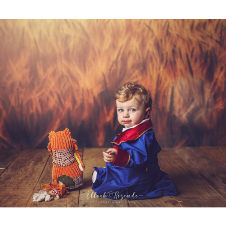 Fabric Photography Background Wheat Field / Backdrop 1759