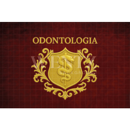 Fabric Photography Background  Dentistry Graduation / Backdrop 7940