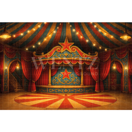 Fabric Photographic Background Children's Day Circus / Backdrop 7783